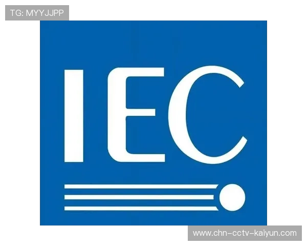 服务标准与国际规范接轨,提升跨境赛事组织效率 服务标准与国际规范接轨,提升跨境赛事组织效率